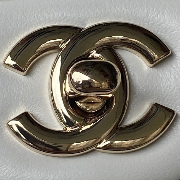 Chanel Satchel Bags